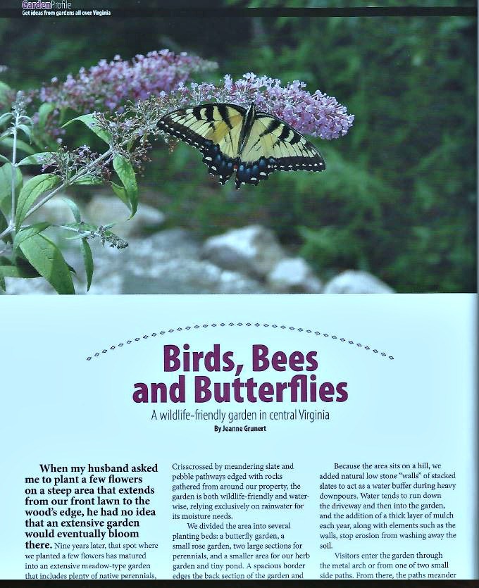feature article